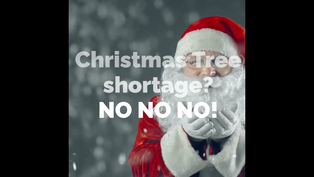 Panic Buying Christmas Trees?