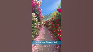 " وكم أهلكنا قبلهم من قرن هم أشد منهم بطشا.. "☝😭 || تلاوة خاشعة ومؤثرة 😢❤