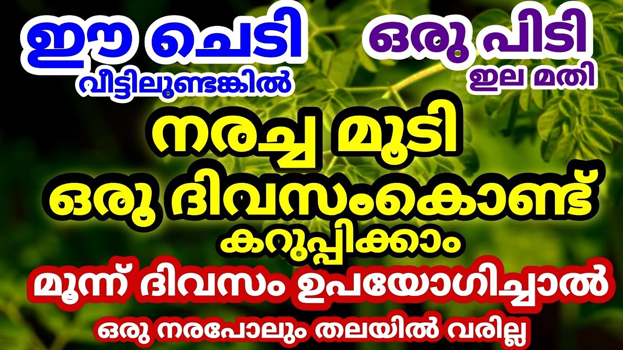 നരച്ച മുടി ഒരു ദിവസംകൊണ്ട് കറുപ്പിക്കാം|Home Made Hair Pack&Hair Dye|One Time Use|Fast Result.