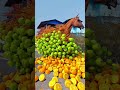 Horse Loaded with Fruits - Special Effects in C4D #shortsfeed #shortsyoutube