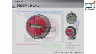 Flame Discrimination and Detection for Multi-fuel Applications