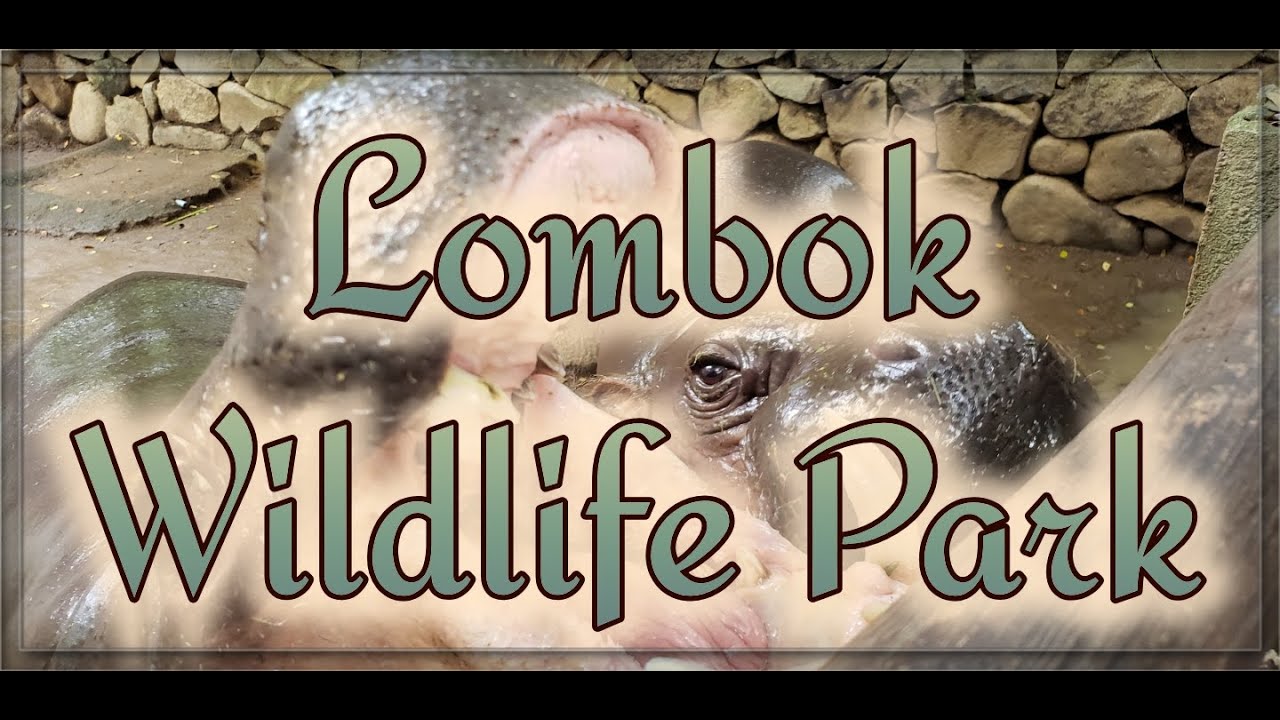 Lombok Wildlife Park (February 2020) [4K]