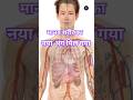 इंसानी शरीर का 80वां अंग मिल गया! 😱 Interstitium #vismaylok #shorts #biology #science #education