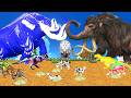 5 Giant Mammoth Elephant Cow Vs Giant Indian Bear Vs 5 Giant Lion Tiger Saved By Woolly Mammoth