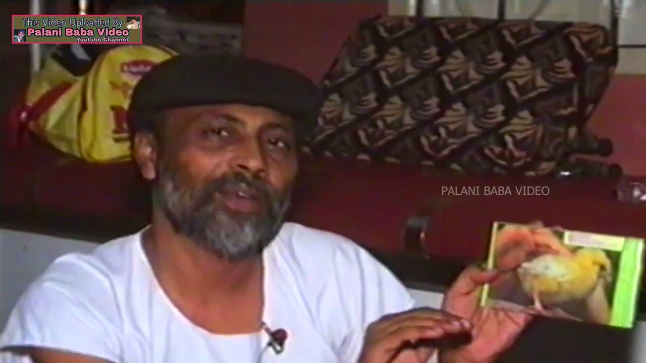 Palani Baba's Private Video 1 