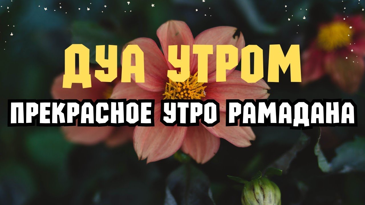 ПРЕКРАСНОЕ УТРО РАМАДАНА ДУА И ПОКОЙ 