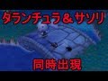【街森】タランチュラとサソリが二匹同時出現！合体した姿が怖すぎる！？【PART27】