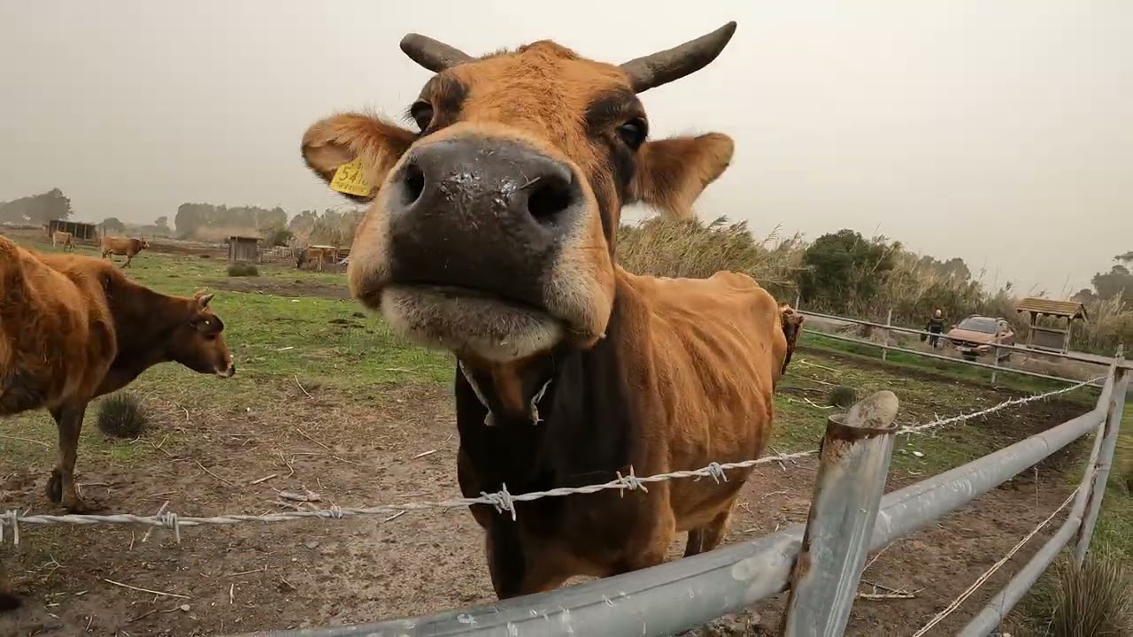 Today we visited one nice place