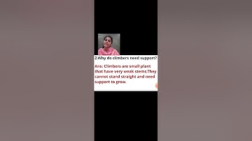 Class 2 EVS chapter no 14 and 15 revision part 2