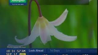 TWN - Local Forecast - September 17th, 2020