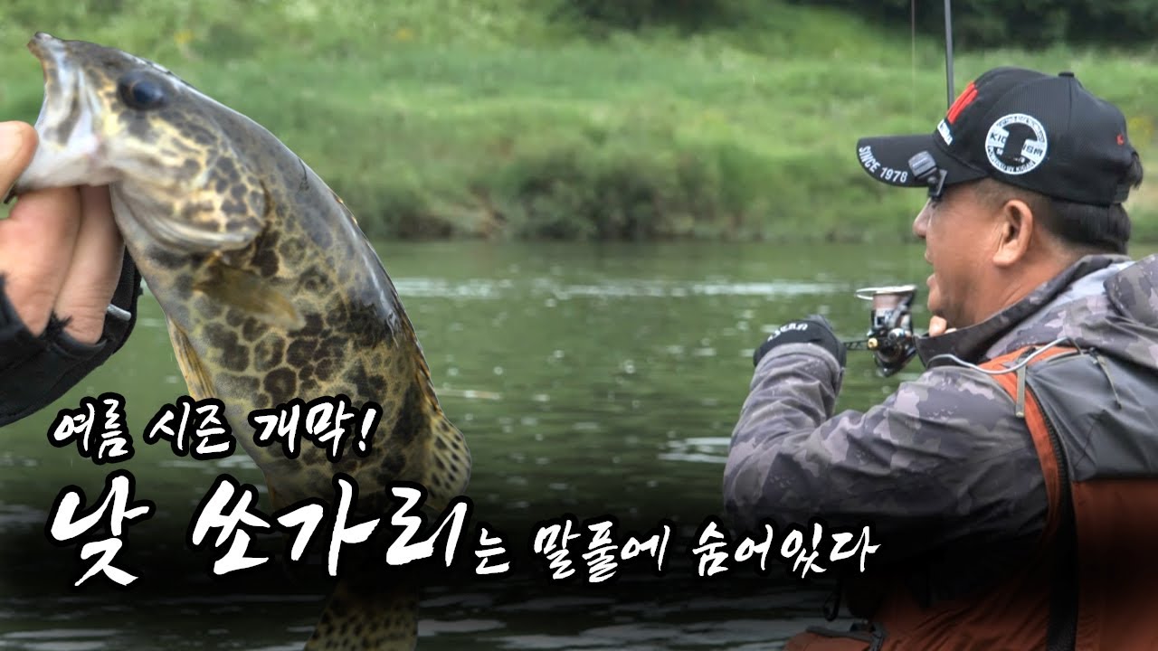 여름시즌 쏘가리 공략![한반도 쏘가리EP 03]