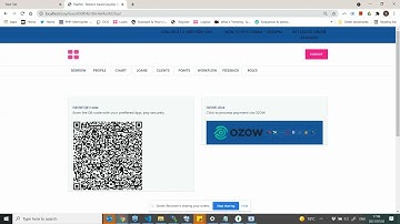 Ozow payment on Raphfin