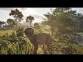 More The Isle in 4k | Triceratops POV