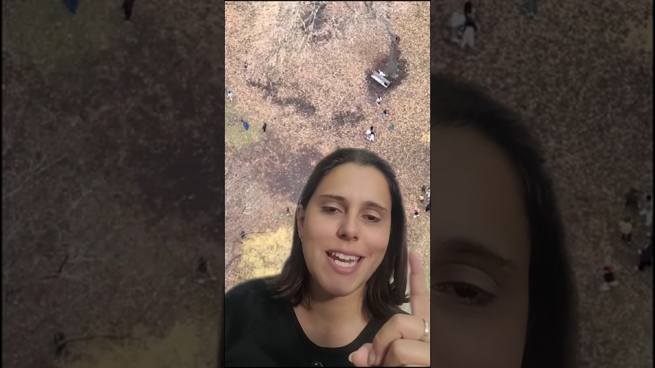 DEVEMOS respeitar esses pintores  | Izabela Explica #reformadecasa