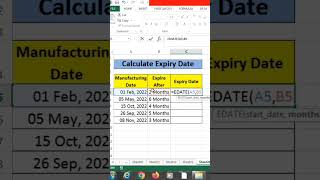 How to Calculate Expiry Date in Excel Using EDATE Formula ।Excel EDATE Formula in 30 in Excel