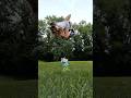 New mask?? [ #quadrobist #quadrobics #quads #antizoo #silly #newmask ]