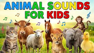 Animal Sounds for Babies &amp; Kids 🐵🦁🐘 Toddler Learning Video