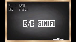 5/B Sinifi Etki̇nli̇klerle Ses Bi̇lgi̇si̇ (2020 - 2021)