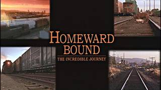 Train Homeward Bound: The Incredible Journey 1993