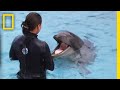 クジラとイルカの子 オルフィン | ナショジオ