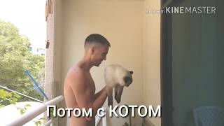 Как накачаться с помощью АРБУЗА и КОТА Как накачаться с помощью АРБУЗА и КОТА