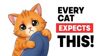 The Unspoken Rules Cats Expect You to Follow