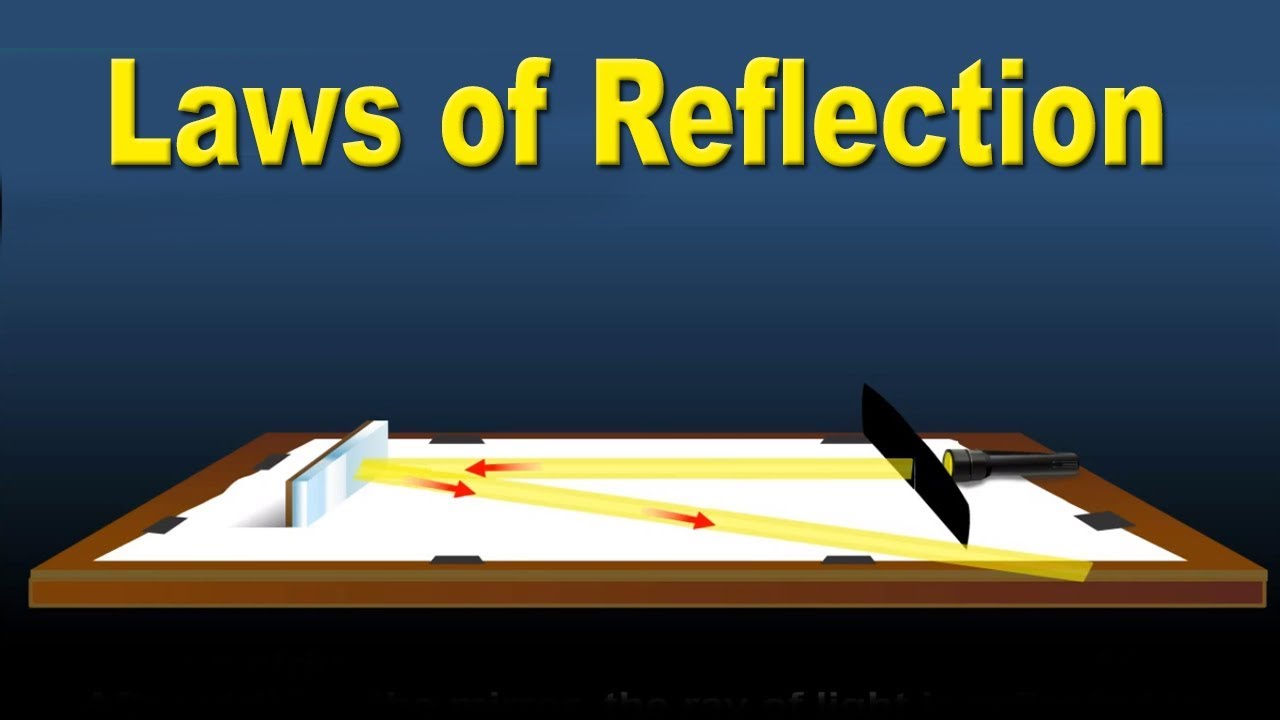 Class 9 | Laws of Reflection | 9th Std | Physics | ICSE Board | Home ...