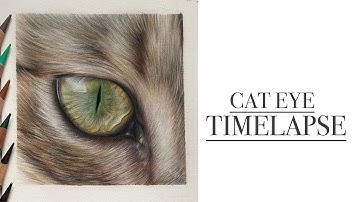 Cat Eye Timelapse