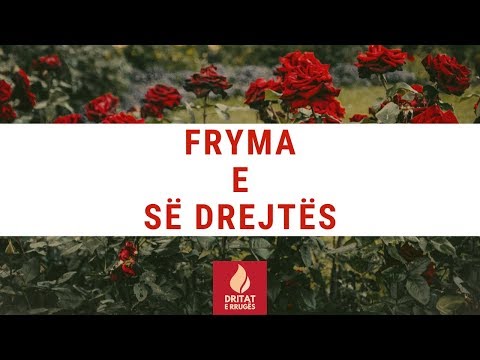 Video: Fryma E Jetes