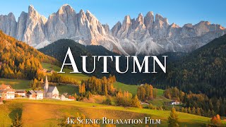 Autumn 4K  Scenic Relaxation Film With Calming Music
