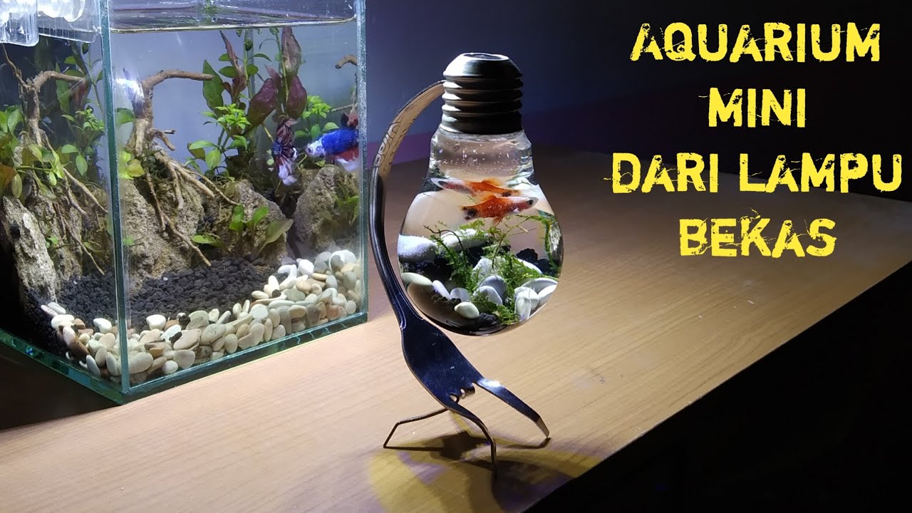  Aquarium  Mini Unik  Dari  Barang  Bekas  5 Langkah  Membuat  