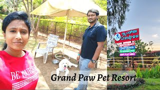 Grand Paw Resort | Weekend getaway with Furry Friend | Pet Friendly Resort in Bangalore | surprise