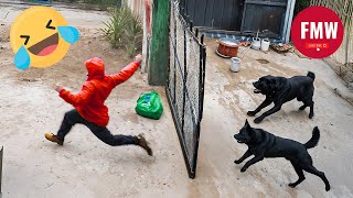 Funny & Hilarious People Life 😆 #496 | TRY NOT TO LAUGH CHALLENGE 😂 | Funny Videos Compilation 2025