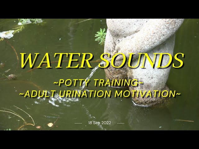 Water Sound for Potty Training-Best Running Water Sounds To Help You Pee class=