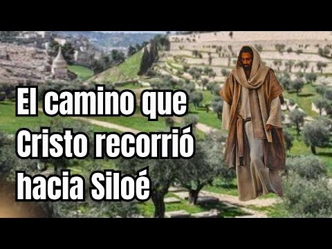 Peregrinación a Tierra Santa 30a parte - Camino que Cristo transitó desde Getsemaní a Siloé