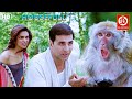 Akshay kumar deepika padukone  full comedy movie  riteish deshmukh  housefull