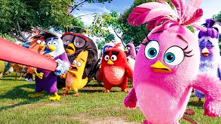The Slingshot Battle | The Angry Birds Movie