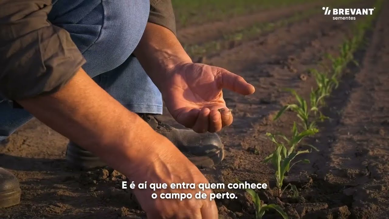 Quando o assunto é semente, vem com a gente | Brevant Sementes