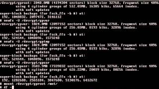 Ручная разметка диска FreeBSD