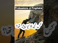 professions of Prophets
