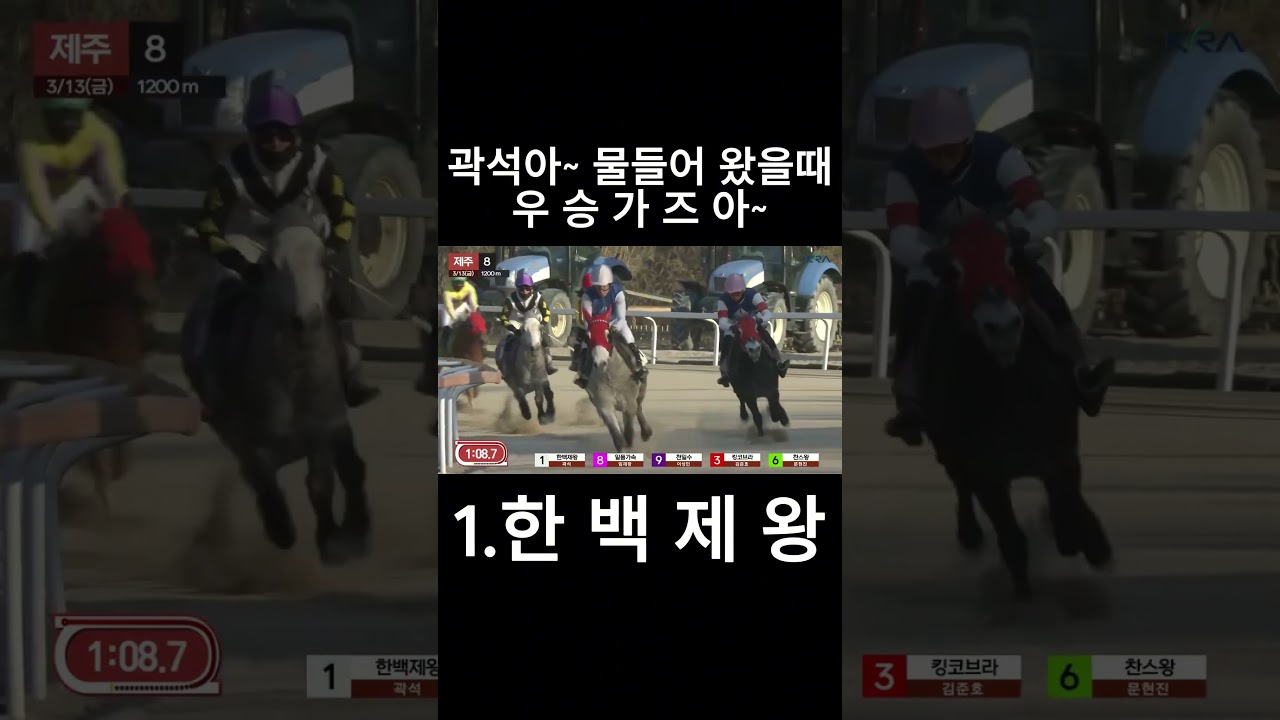 물들어 왔을때 우승가즈아~  #경마  #경마예상  #경마방송  #경마예상방송  #서울경마  #금요경마  #토요경마  #일요경마 #경마장