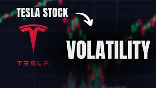 Oh Crap.... Tesla Stock.