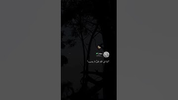 قرآن كريم بصوت عبد الرحمن مسعد - حالات واتس اب دينية - تلاوه تريح القلب 🕊❤