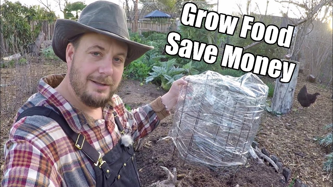 DIY Instant Mini Greenhouse Using Stretch Wrap For Just A Few Cents