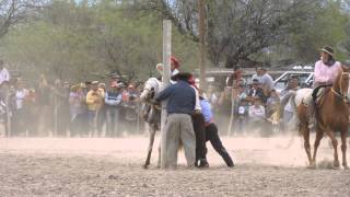Doma en el Cavadito, desierto de Lavalle, Mendoza