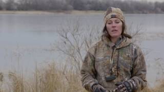 Gun Dog Training: Multiple Marks