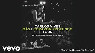 Carlos Vives - Como Le Gusta A Tu Cuerpo (En Vivo Desde Santa Marta)[Cover Audio]