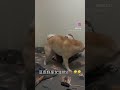 豆皮妳是女生欸！！竟然還會換姿勢