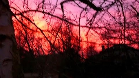 i remember this spot... // ambient nostalgiacore, dreamcore, weirdcore playlist to relax/focus