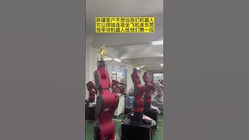 Welding Robot / Palletizing Robot / Painting Robot / Handling Robot